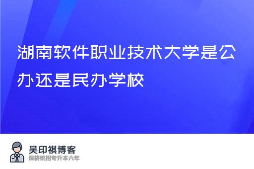 湖南软件职业技术大学是公办还是民办学校